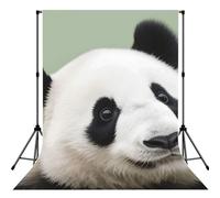 Black and White Panda Face Backdrop for Photography,5x7ft Backdrop Picture Back Drop Banner Personalized Photo Backdrops Curtain for Fireplace Home Decoration Newborn Birthday Wedding Party