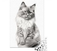 Black And White Ragdoll Cat Portrait Jigsaw Puzzle 1000 Pieces for Calm Weekends, 38x26cm/1000pcs
