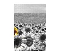 black and white sunflowers Prints Wooden Jigsaw Puzzle 300-Piece in Plastic Box, 26x38 CM Eco-Friendly Educational Puzzle for Family Fun & Adult Relaxation