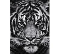Black and White Tiger Jigsaw Puzzle for Adults 1000 Pieces Educational Stress Relieving Toy for Adults and Kids 26x38cm