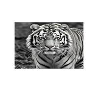 Black and White Tiger Placemats Heat Resistant Anti Slip Dining Table Place Mats Washable Linen Placemat Wipeable Placemat for Kitchen Art Placemats Easy to Clean