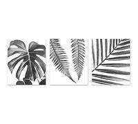 Black and White Tropical Leaf Botanical Wall Art 3 Piece Print Set 8x10 Cool Monstera Fern and Palm Leaves for Bathroom, Bedroom Office Home Decor Idea Gift for Mom, Friend, Sister