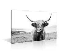 Black and White Wall Art Scottish Highland Cow on Isle of Mull Poster Prints on canvas Animal Home Decor 1 Piece Highland Cow Wall Decor for Living Room Framed Ready to Hang (16''Wx 24''H)