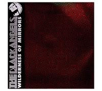 BLACK ANGELS - WILDERNESS OF MIRRORS - New Vinyl Record 12 RECORD - 8 - R123z