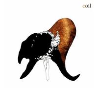 Black Antlers Rouge Transparent