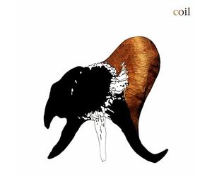 Black Antlers Rouge Transparent