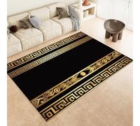 Black Area Rugs Geometric Greek Key Meander Machine Washable Area Rug 60 X 90 Cm Soft Fluffy Non-Slip Short Pile Carpet For Living Room Bedroom Dining Room Kitchen Office & Nursery,80 X 150 Cm