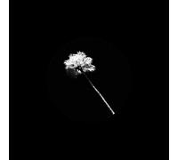 Black Atlass - Haunted Paradise [VINYL]