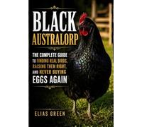 Black Australorp: The Complete Guide to Finding Real Birds, Raising Them Right, and Never Buying Eggs Again