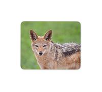 Black Backed Jackal Mouse Mat Pad - Wild Animal Dog Fox Fun Computer #12492