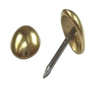 Black Barn Upholstery Supplies 6mm Head - 13mm Shank Upholstery Nails (R5) High Dome Polished Brass / 100 Nails