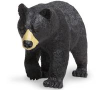 Black Bear