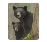 Black Bear Mother and Cub Rubber Mouse Pad
