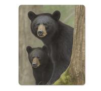 Black Bear Mother and Cub Rubber Mouse Pad