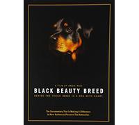 BLACK BEAUTY BREED