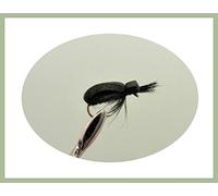 Black Beetle Trout Flies, 12 Pack Beetles for fly Fishing, Mixed Sizes 12/14/16