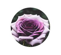 Black Blackgound Rose Print Strong Refrigerator Magnets Decor Fridge Magnets,For Kitchen Whiteboard Office Locker