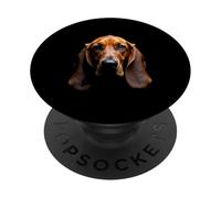 Black Bloodhound Dog Bloodhound Face PopSockets Adhesive PopGrip