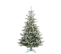Black Box Trees Celtis Artificial Christmas Tree - H215 x Ø135cm - Green Frosted Finish