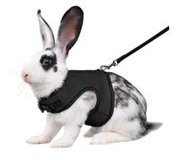 Black Bunny Harness and Leash, Escape Proof Rabbit Harness and Leash Set, Cute Bunnies Vest Clothes Stuff Accessories - Suit for 4-6 Months Rabbit/Ferret 6+Months Guinea Pig, L