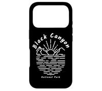 Black Canyon of the Gunnison National Park Case for iPhone 17 Pro