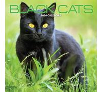 Black Cat 2026 Calendar