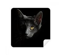 Black Cat Animal Wild Stare Dark Glasses Cleaning Cloth Phone Screen Cleaner Suede Fabric 2pcs