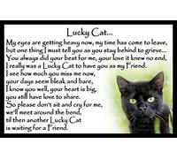 Black Cat Bereavement Memorial Flexible Fridge Magnet Gift - Lucky Cat