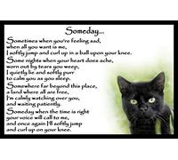 Black Cat Bereavement Memorial Flexible Fridge Magnet Gift - Someday