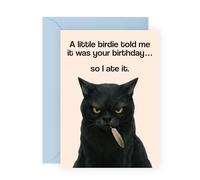 Black Cat Birthday Card -“A Little Birdie Told Me” Joke - Humorous Pet Greeting Card for Friends, Family, Colleagues, Coworkers, Partners, Lads, Mate, Buddy, Brother, Sister - Comes with Stickers