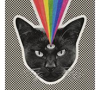 Black Cat By Never Shout Never (2015-08-07)