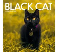 Black Cat Calendar 2027: Midnight Cats and Quiet Moments