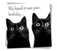 Black Cat Cards for Women, Men - Happy Birthday - Funny Two Felines | for Her, Him, Mum, Sister, Bestie, Kitten Lover - from the Pets - Monochrome, Big Eyes - Blank Inside, with Envelope