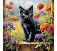 Black Cat Cross Stitch Kits - Counted Cross Stitch Kits for Beginners Adults,11 CT Patterns Dimensions Embroidery Kits Arts Craft Kits, Home Decor 19.7 x 19.7in,50X50cm（11-C