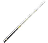 Black Cat Fishing Rod for Catfish Fishing 2.80 m 350 g Perfect Passion XH-S Rod