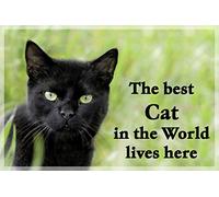 Black Cat Fridge Magnet