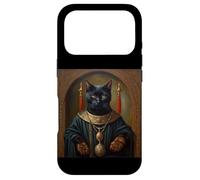 BLACK CAT FUNNY ANIMAL MEDIEVAL RENAISSANCE OIL PAINTING Case for iPhone 17 Pro