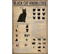 Black Cat Knowledge Tin Sign Black Cat Kitchen Decor Poster Cat Smoke Poster Bar Bathroom Bar Garden Home Outdoor Wall Decoration Metal Tin Signs 8x12 Inch