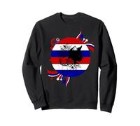 Black Cat Lovers Cool Patriotic Kitty Cat July 4th Flag Sweatshirt