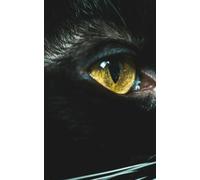 Black Cat Math Notebook: 120 Pages A4 Graph Paper: Mysterious Black Cat Theme | For School & College Students | 5x5 mm Grid | Perfect for Algebra, Geometry, Technical Drawing & Notes