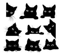 Black Cat Outdoor Fabric by The Yard, Cute Kitten Pet Animal Fabric for Home DIY Projects, 2 Yards, (L184*W150cm) Black & White