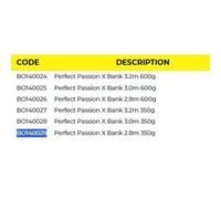 Black Cat Perfect Passion X Bank Catfish Rod Silver 3.20 m / 350 g