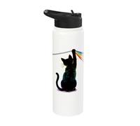 Black Cat Rainbow Light Prism Science Lover Physics LGBT Stainless Steel Insulated Water Bottle