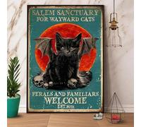 Black Cat Skull Salem Sanctuary For Wayward Cats This 6x8 Inch Metal Tin Sign Is Designed For Home, Coffee Shops, Garages As A Decorative.