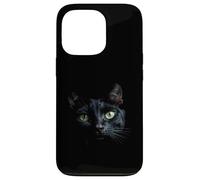 Black Cat Stunning Face Staring from the Darkness Case for iPhone 13 Pro