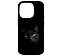 Black Cat Stunning Face Staring from the Darkness Case for iPhone 14 Pro