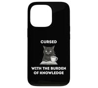 Black Cat The Burden Of Knowledge Funny Sarcastic Ironic Case for iPhone 13 Pro