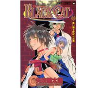 Black Cat, Vol. 2