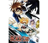 Black Cat Vol. 2