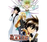 Black Cat Vol. 8